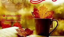 فال زندگی 11 شهریور 1400