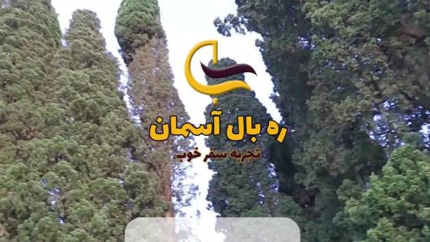 سرو کهن روستای طرز | ره بال آسمان